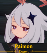 Paimon Expert