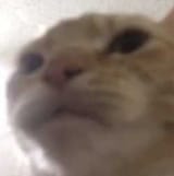 1705352179740348s