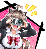 nice desu ne