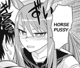 horse pussy