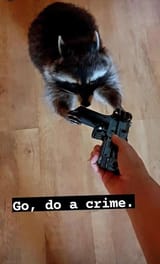 do a crime