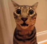 ZkqwkTOg