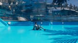 my valby enjoys the pool