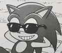 Sunglasses Sonic