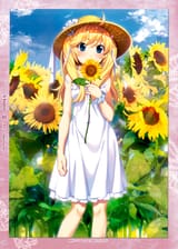mitchersunflowers