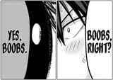 boobs