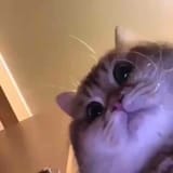 1664031570327
