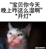 1735630549176067
