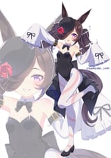 8646616