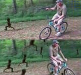 Ambush