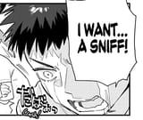 sniff