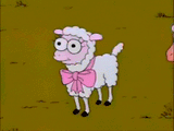 710