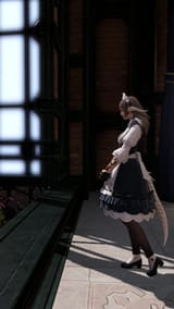 2025-07-09 11-42-33 Witch&#039;sMoonForGameplayAlt ffxiv_dx11