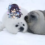 GvRLFCAWAAQ5tic