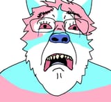 1727866205553855