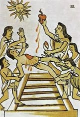 images(1)