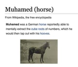 GvRf0HDXAAEJXEf