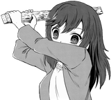 1738433305986855