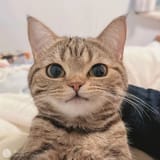 1735594701312730
