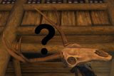 Query Skull