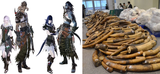 poaching