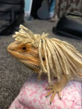 my femra