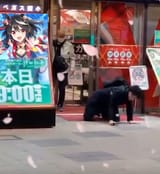 kitasan banner