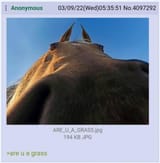 j06iqw7qy5b91