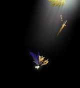 1725187650303853