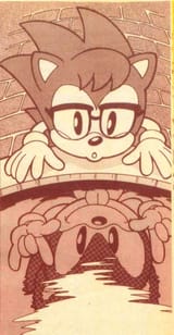nicky sonic reflection
