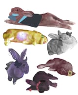 bunsiftheyreal