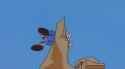 Wind_thumb.jpg