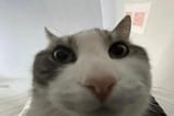 1739907115394455