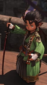 ffxiv_dx11 2025-02-07 02-12-32