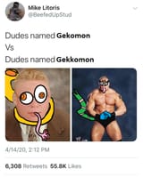 Gekomon vs Gekkomon