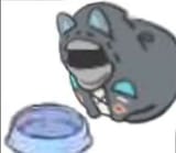 fatFUCK
