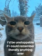 18273362744