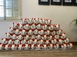 the great wall of bean