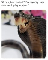 FvJMaFjWwAUCQye.jpg_large