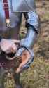 knight taking care of things the old fashioned way_thumb.jpg