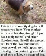 immunitydog