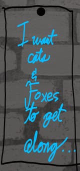 cats