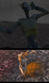 blood
