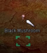 mushroom