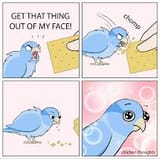 images