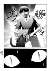 cat is fine