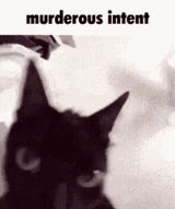mfw