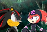 shadow_and_shade_do_teamwork_together_by_ry13008_dk47mek
