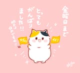 661CB130-7FAF-4C7F-A36A-AD55FEE2701F