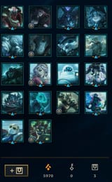 skins